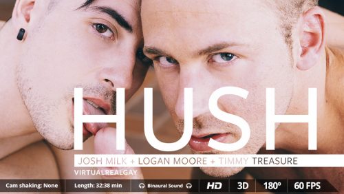 Hush – VirtualRealGay