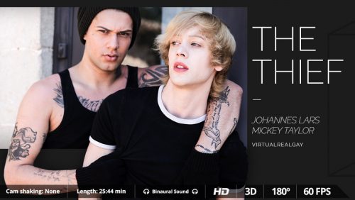 The Thief – VirtualRealGay