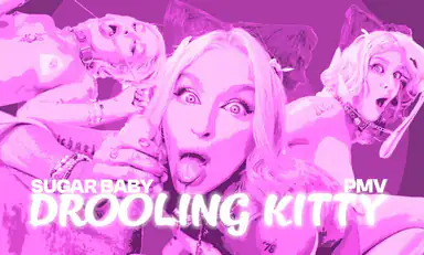 Sugar Baby Drooling Kitty Pmv L VR Music Video by Private Jet
