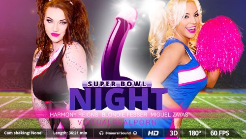 Super Bowl Night – VirtualRealPorn